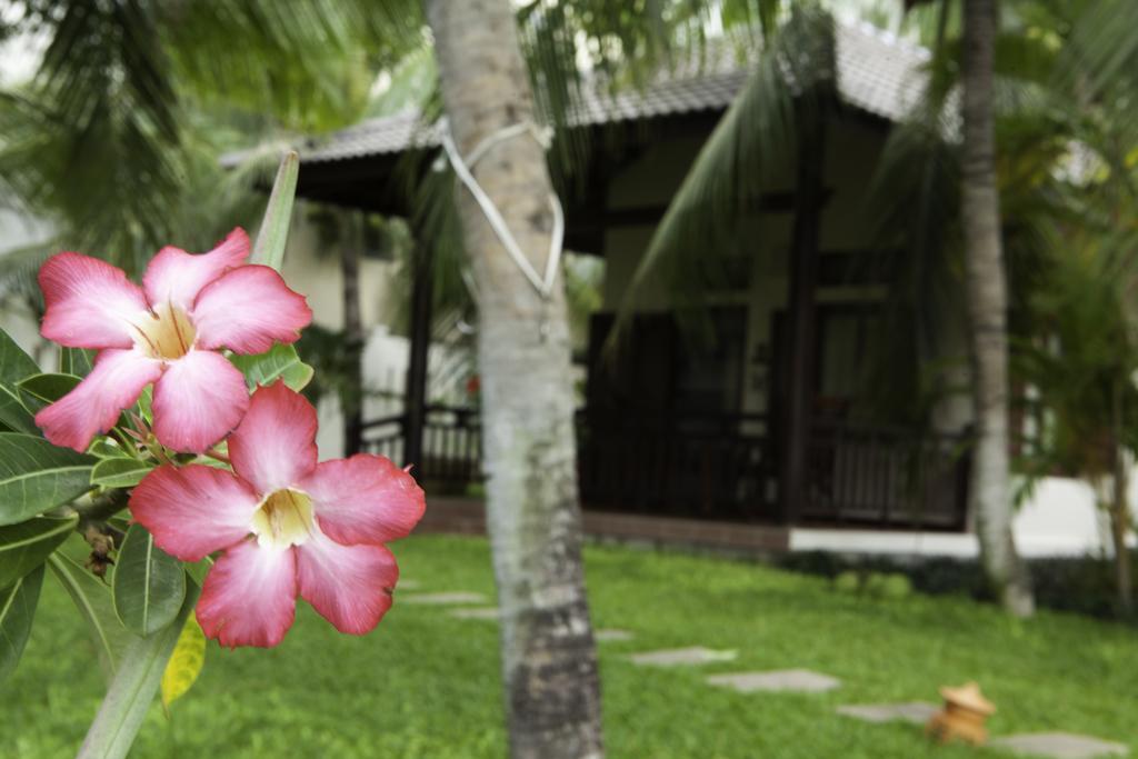 Thuy Thuy Cottages Фантхьєт Екстер'єр фото